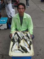 釣り物