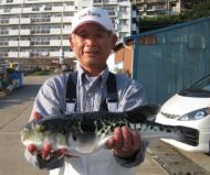 釣り物
