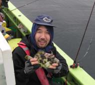釣り物