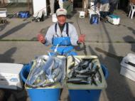 タチウオ・アジリレー