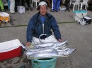 タチウオ・アジリレー