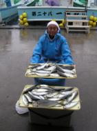 アジ、連日好調です！！