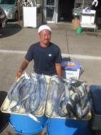 タチウオ・アジリレー