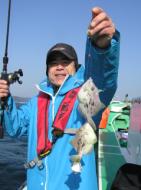 カワハギ釣り大漁です！！