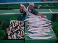タチウオ・アジリレー釣り爆釣です！！