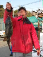 ふぐ釣り絶好調です！！