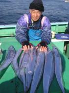 タチウオ・アジリレー釣り絶好調です！！