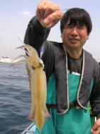 マルイカ大漁です！！