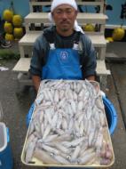 マルイカ大漁です！！！