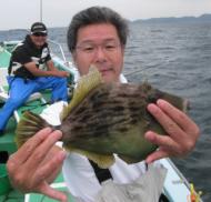 カワハギ