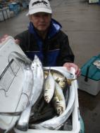 タチウオ・アジリレー