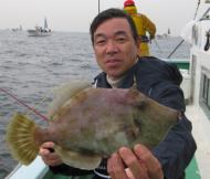 カワハギ釣り絶好調！！