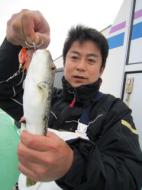 ふぐ