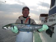 釣り物
