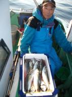 釣り物