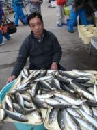 釣り物