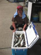 中アジ大漁です＾＾