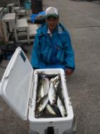 アジ釣り大漁です！！