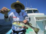 釣り物