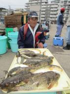 ふぐ釣り大漁です＾＾