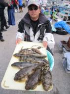 ふぐ釣り好調です！！