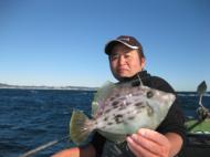 釣り物