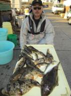 ふぐ釣り好調です！！