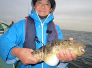 釣り物