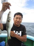 ふぐ釣り好調です＾＾