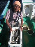 釣り物