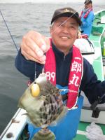 カワハギ