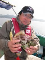 カワハギ釣り好調です！！！