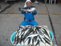 アジ