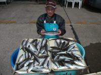 アジ釣り大漁です！！