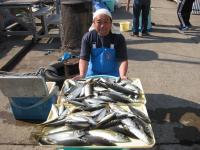 アジ釣り大漁です！！
