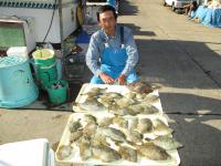 カワハギ大漁です！！！