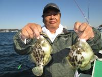 カワハギ釣り大漁です！！