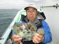 カワハギ