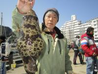 アカメフグ