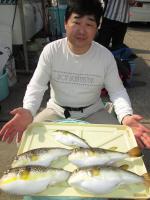 ショウサイフグ