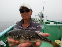 ショウサイフグ