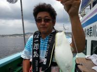 ショウサイフグ