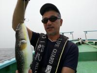 ショウサイフグ