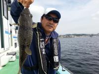 ショウサイフグ