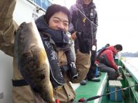 ショウサイフグ