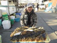 ショウサイ・アカメフグ