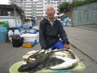 ショウサイフグ