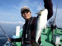 ショウサイフグ