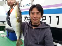 ショウサイフグ