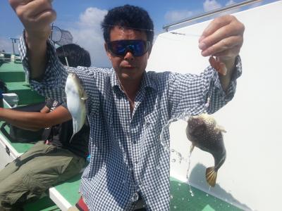 ショウサイフグ 釣り船 鴨居大室 一郎丸 東京湾 神奈川県 横須賀 三浦 ショウサイフグ 釣り船 鴨居大室 一郎丸 東京湾 神奈川県 横須賀 三浦